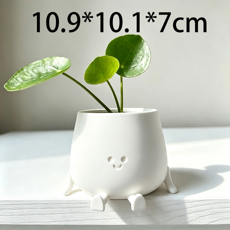 Vaso de Planta com Rosto Sorri - Echeveria Succulent avaliação e preço