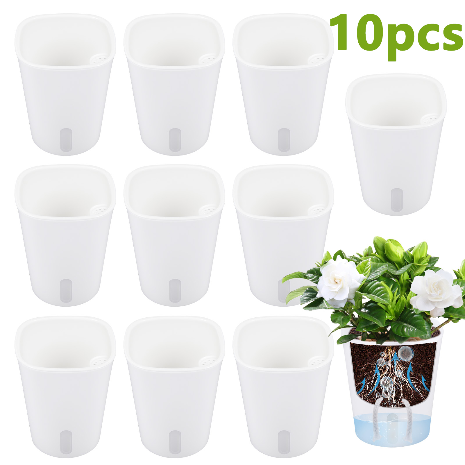 10 Peças de Vaso de Plástico A - Aloe Vera Pot avaliação e preço