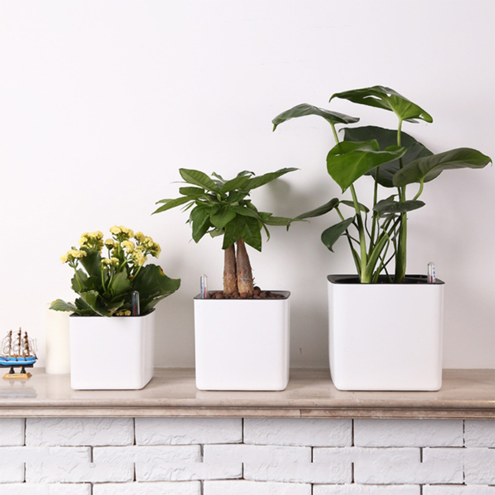 Vaso Autoirrigável com Indicad - Aloe Vera Pot avaliação e preço