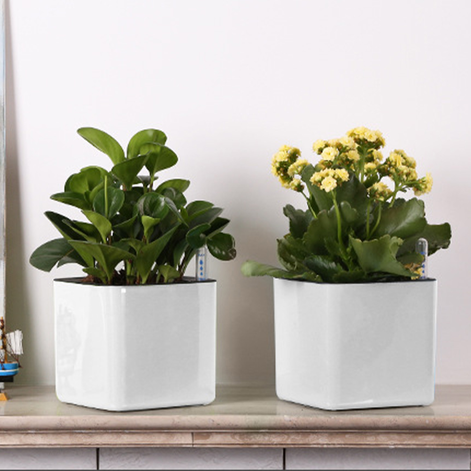 Vaso Autoirrigável com Indicad - Aloe Vera Pot avaliação e preço