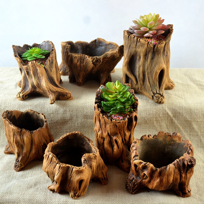 Imitação de estacas de madeira - Echeveria Succulent avaliação e preço