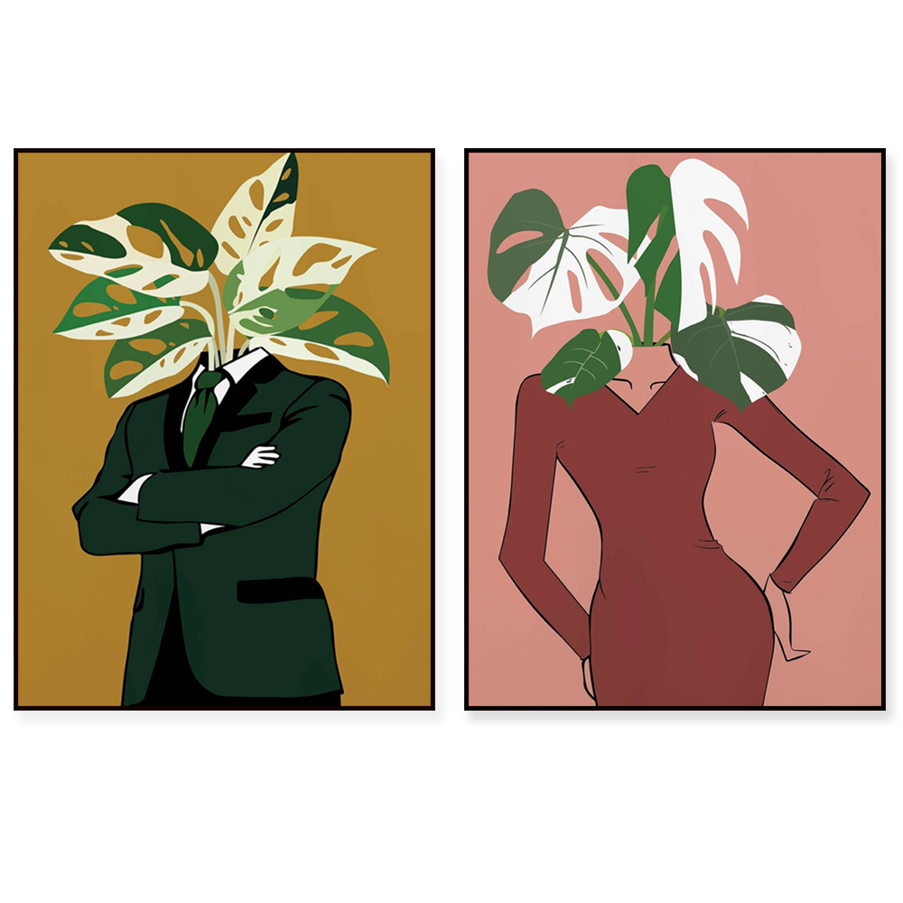 Monstera Albo em um pôster de  - Monstera Adansonii avaliação e preço